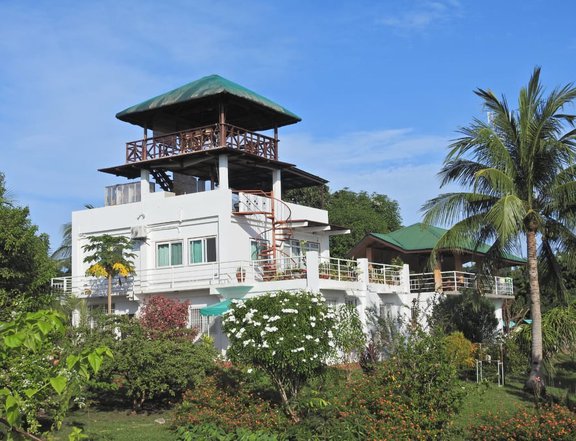 19,843 sq m Residential Farm For Sale in Puerto Princesa Palawan