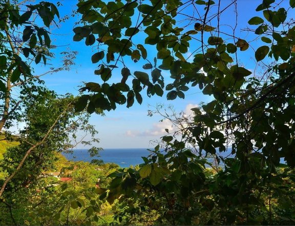 5,092 sqm Lot For Sale in Puerto Galera Oriental Mindoro