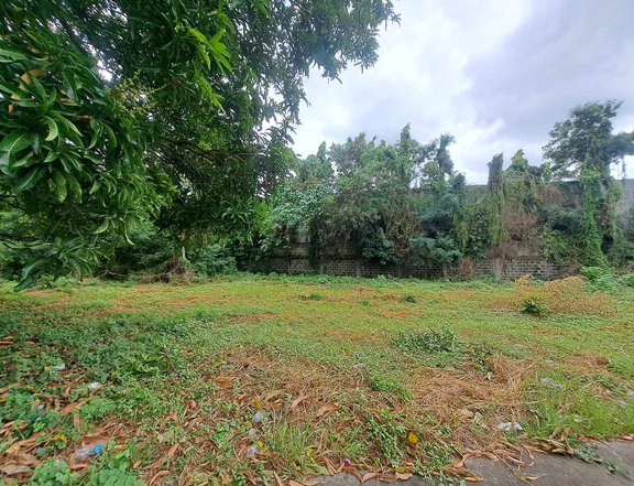 Prime Residential Lots for Sale in Golden Meadows Executive Village, Binan, Laguna