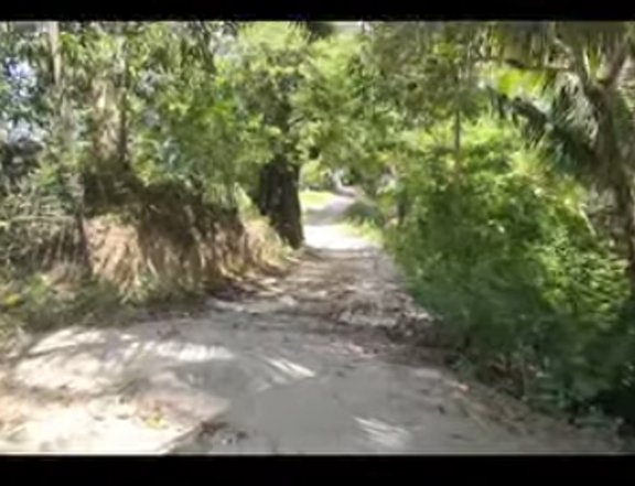 1.36 hectares Lot for Sale in Boljoon Cebu