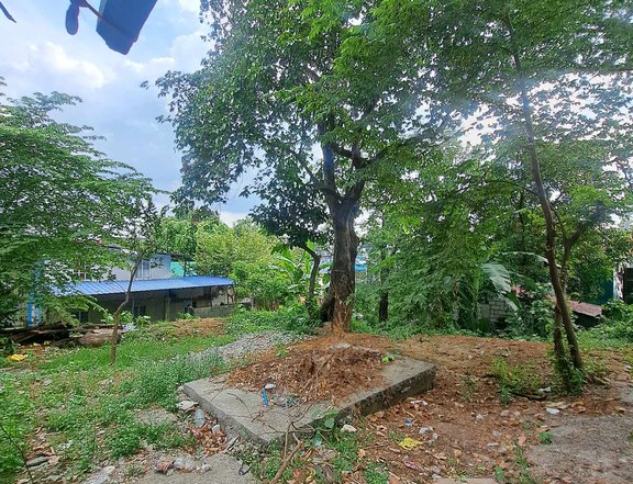 400 SQM Residential Lot for Sale in Novaliches QC  Near SM, Robinsons, TV5