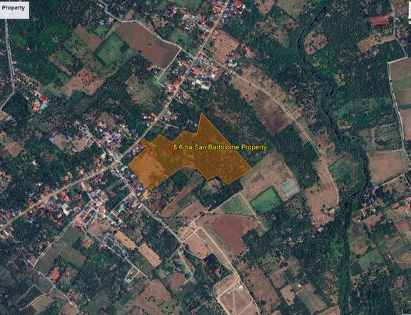 8.6 hectares Raw Land For Sale in San Bartolome San Pablo Laguna