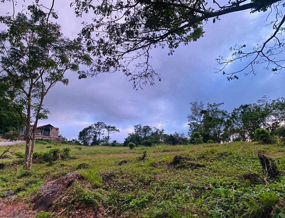 767 SQM. Residential Lot for Sale in Splendido Taal Country Club, Laurel, Batangas