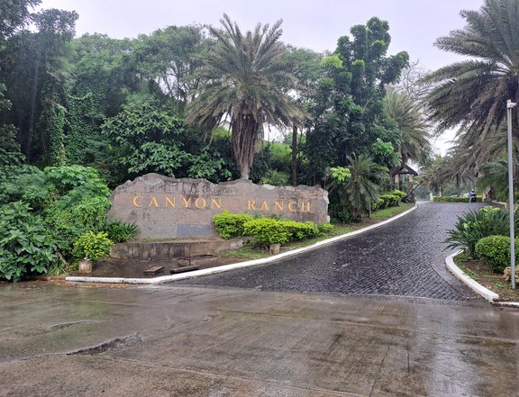 Residential Lots for Sale - Canyon Ranch Subdivision, Carmona, Cavite