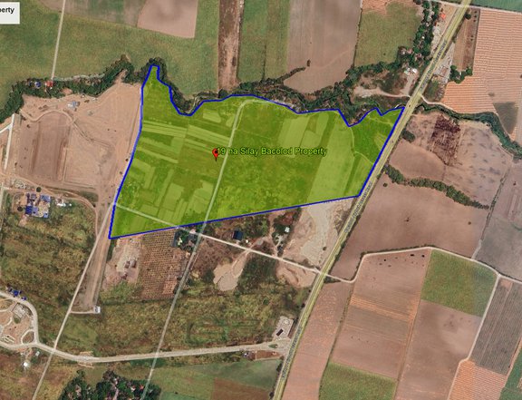 19 hectares Raw Land For Sale in Silay Bacolod