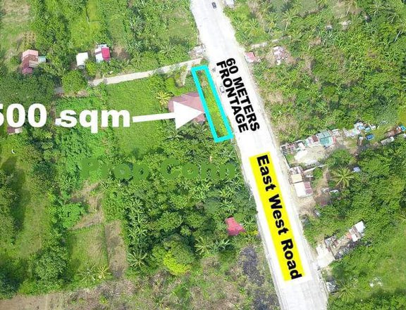 500 sqm Commercial Lot For Sale in Amadeo Cavite