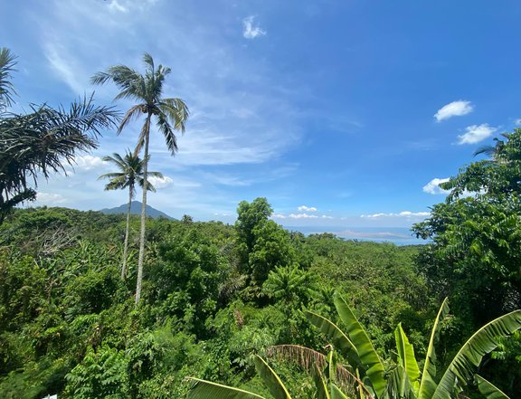 300 sqm Residential Lot For Sale in Lauan Ridges Lipa Batangas Block 3 Lot 3