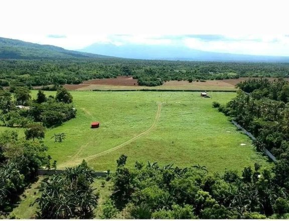 5 hectares Agricultural Farm with house For Sale in Lipa Batangas