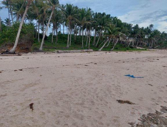Beachfront Lot for Sale  Ready for Resort or Private Development
