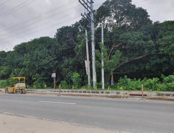 1000 sqm Commercial Farmlot for Sale By Owner in Putingbuhangin, San Juan, Batangas