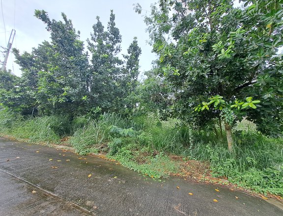 110 sqm. Prime Residential Lot for Sale in Canyon Ranch, Carmona | Along Governor's Drive, Near SLEX