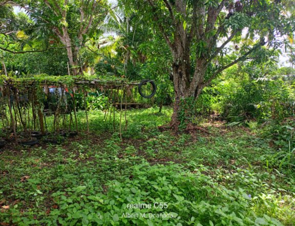 563 sqm Residential Lot For Sale in Dauis Bohol