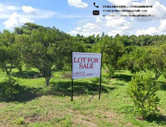 LOT FOR SALE : 100 Sqm. Residential Farm For Sale in Padre Garcia Batangas