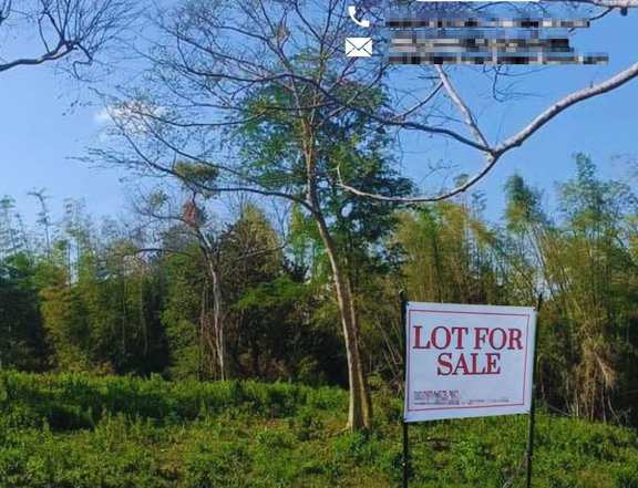 100 sqm Residential Lot For Sale in Batangas City Batangas