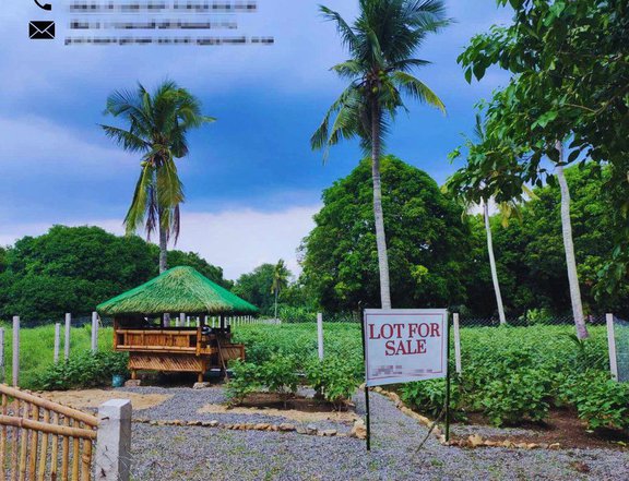 LOT FOR SALE : 112 sqm Residential Farm For Sale in San Juan Batangas