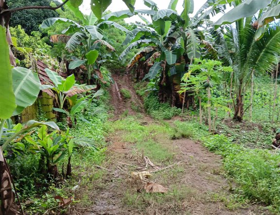 3,000 sqm Residential Farm For Sale By Owner in Norzagaray Bulacan