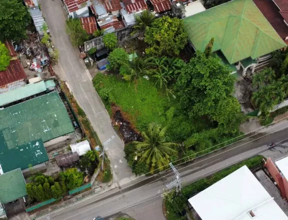 Peace Valley Commercial Lot 295sqm Lahug Cebu City For Lease