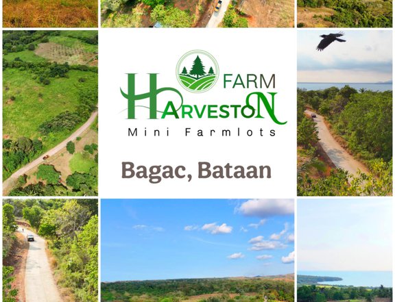 Subdivided Farm lot for sale in Bagac Bataan near in Beach resort
