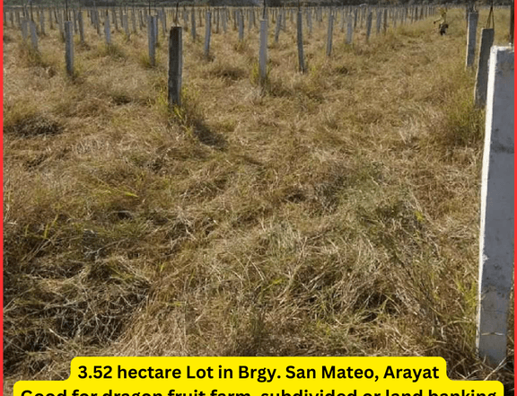 Quiet and Secluded 3.52 hectare Farmland For Sale in Arayat, Pampanga!