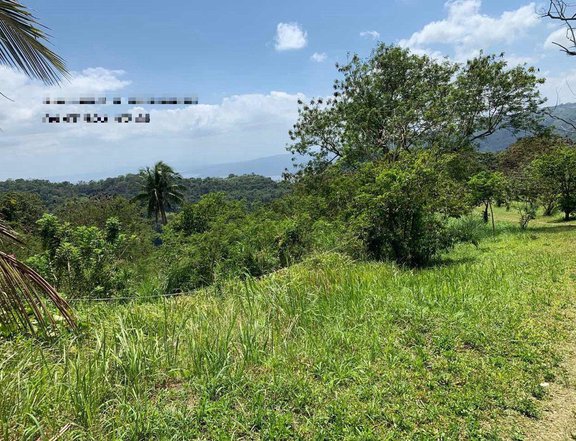 RUSH!! LOT FOR SALE @ TAGAYTAY OVERLOOKING