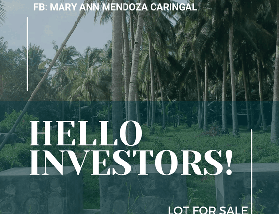 LOT FOR SALE ALONG ECOTOURISM ROAD in San Isidro Candelaria Quezon