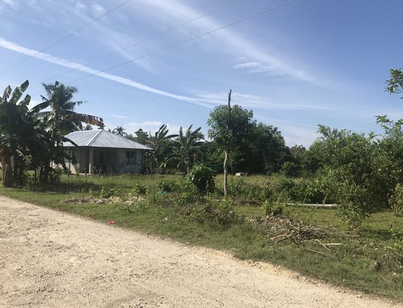 Panglao Is. Lot for Sale or Lease 1240 SqM. - Commercial Residential