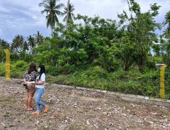 (1) / One Davao Mati Lot 300sqm | CLEAN TITLE | PLEASE READ DETAILED DESCRIPTION