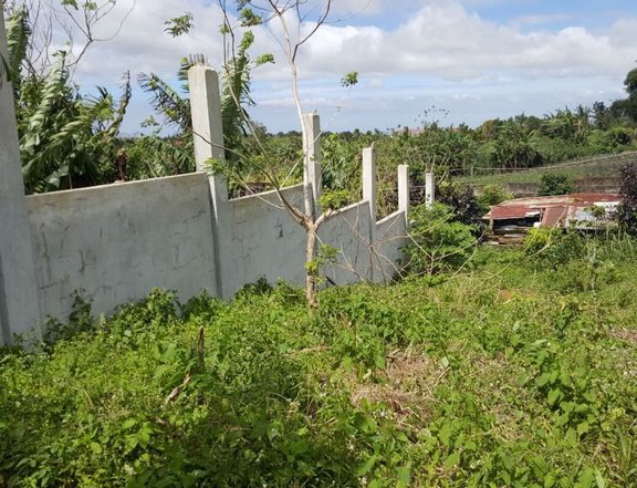 214 sqm Vacant Lot for Sale in Tagaytay City