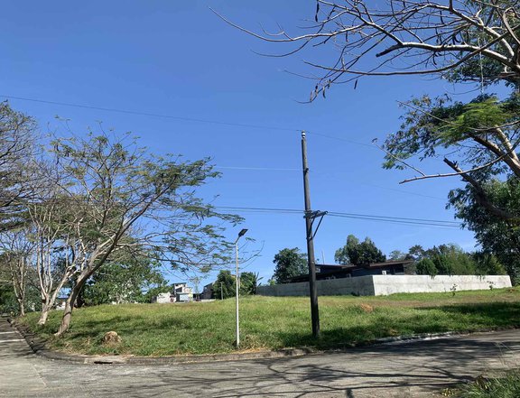 1190sqm Vacant Lot For Sale in Sta. Barbara 2 Mission Hills, Antipolo