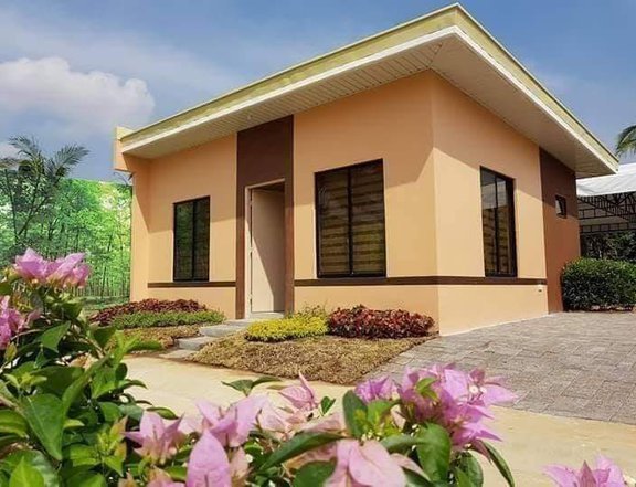 Affordable House of BRIA HOMES in CALAMBA