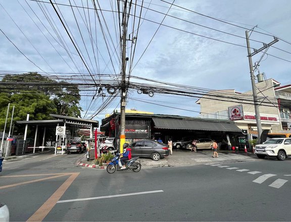 358sqm Commercial lot for Sale in El Grande Ave BF Homes Paranaque City