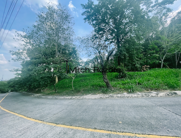 Best Available 541 sqm. Prime Lot For Sale