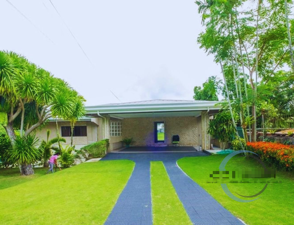 Newly Renovated 3-Level House for SALE and for RENT Maria Luisa Estate Park