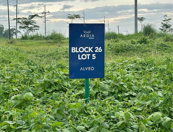 315sqm Residential lot for Sale in Ardia Vermosa Imus Cavite