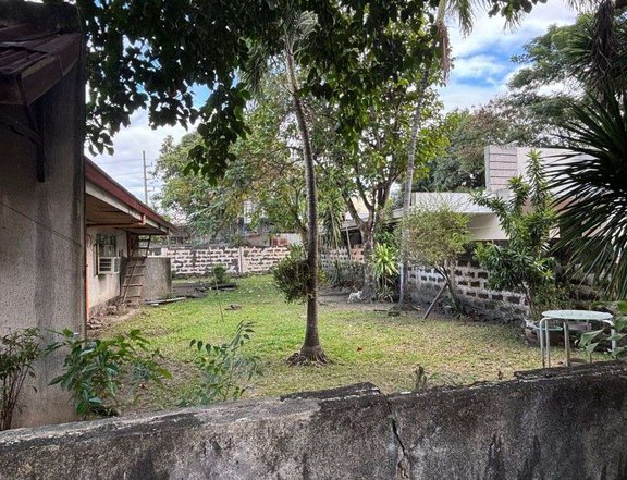 120 sqm Lot for Sale in Better Living Subdivision Paranaque City
