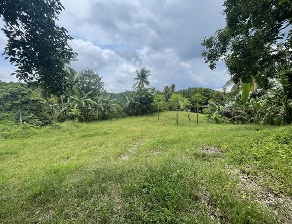 3.26 Hectares Farm Lot For Sale in Lemery Batangas