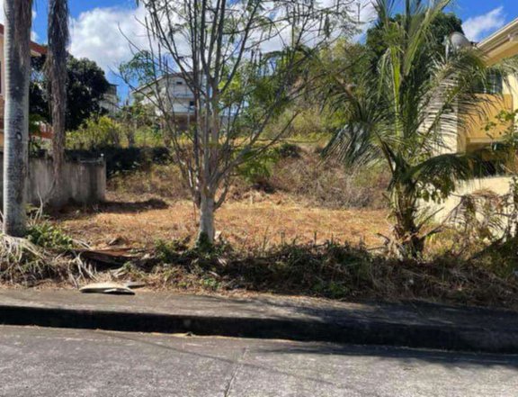 285sqm Residential lot for Sale in Royale Estates Las Pinas City