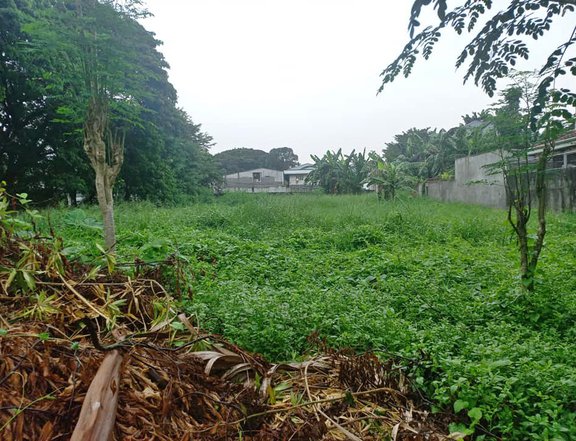 785sqm Residential lot for Sale in Multinational Village Paranaque City