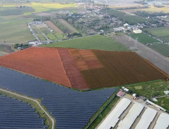 8 HECTARES RAWLAND BEST FOR INDUSTRIAL PURPOSES IN PAMPANGA BESIDE AYALA CITICORE SOLAR POWER PLANT