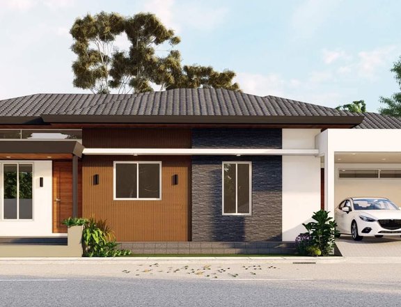 PRE-SELLING BRAND NEW MODERN CONTEMPORARY HOUSE WITH POOL IN PAMPANGA