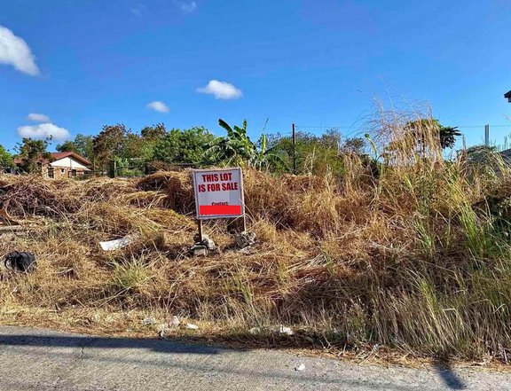 220sqm Residential lot for Sale in Camella Springville Bacoor Cavite