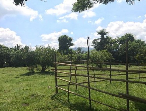 762 sqm Farm Lot for Sale in Brgy. Munting Ambling, Magdalena Laguna
