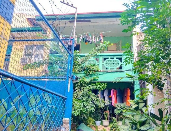 3 Houses in 1 Lot for Sale in Hulo Mandaluyong City