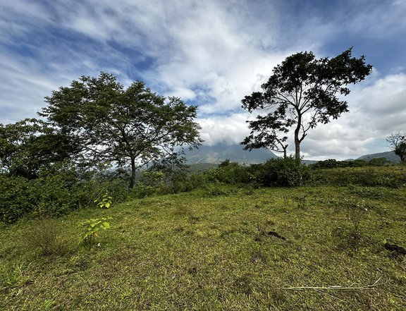 FARM LOT FOR SALE DOLORES, QUEZON (MOUNTAIN AND OVERLOOKING VIEW)