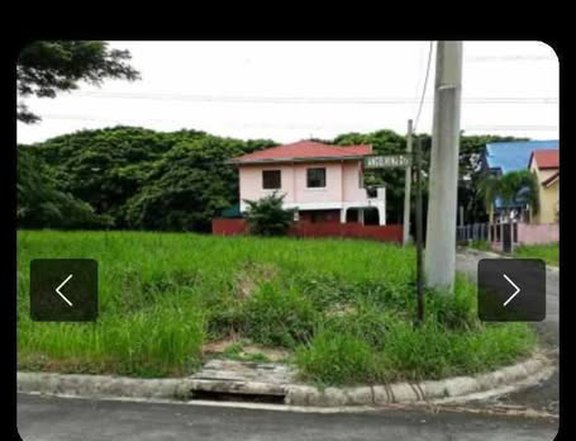 117sqm Residential lot for Sale in The Vineyard Aguinaldo Highway Dasmarinas Cavite