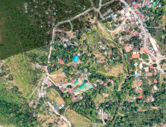 2 Hectares Residential Lot in Diot Tubod Minglanilla