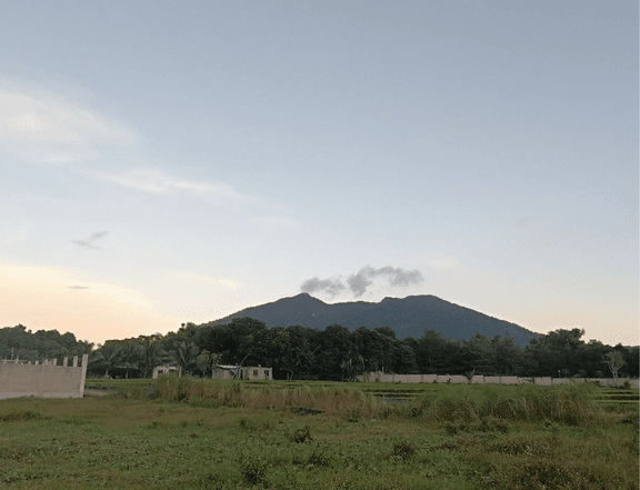 3,000 sqm Residential Lot For Sale By Owner in Magalang Pampanga with a Perfect Mt. View