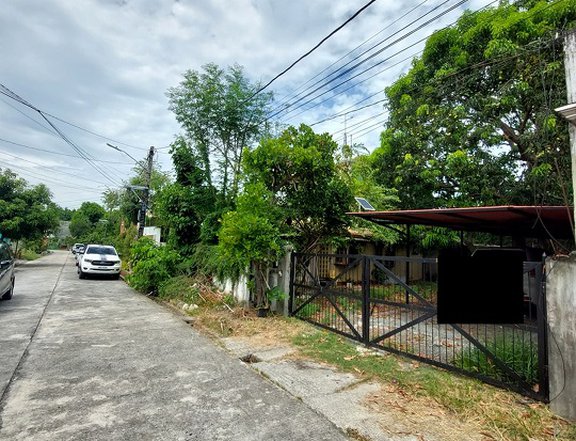 343sqm Residential lot for Sale in United Paranaque Subd Sucat Road Paranaque City