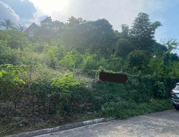 Elevated Lot for SALE in Sunny Hills Talamban, Cebu City