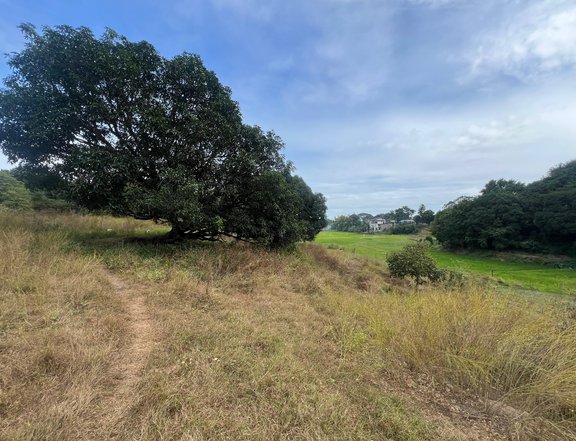FOR SALE FARM LOT IDEAL FOR RESORT OR RETIREMENT HOUSE IN PAMPANGA